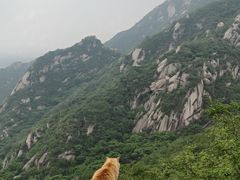 -北京凤凰岭