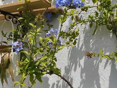 -万象影城(石家庄万象城IMAX激光店)