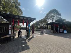 -上海海湾国家森林公园