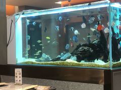 -黄鱼炙夜(华家池店)