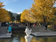 -晋祠公园
