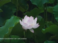 -四川大学(华西校区)