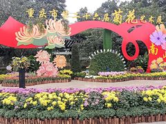 -南山植物园