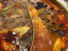 -宴全牛粤来越牛潮汕鲜牛肉火锅(海州万达广场店)