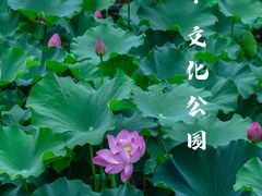 -成都市文化公园