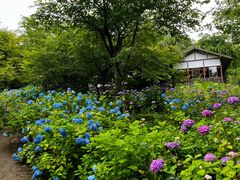 -三千院