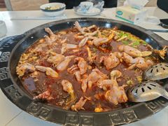 -大江美蛙鱼火锅(都江堰店)