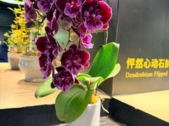 -北京植物园-展览温室