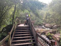 -广州白江湖森林公园