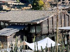 -MOJ coffee(瓯海泽雅水碓坑店)