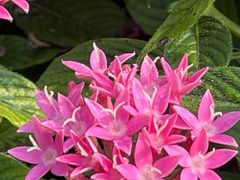 -国家植物园