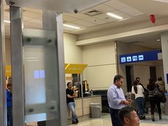 -达拉斯 沃斯堡国际机场