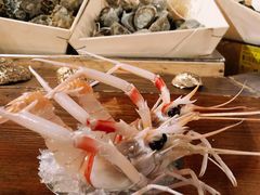新西兰鳌虾-斯普汇生蚝牛排馆(中骏世界城店)