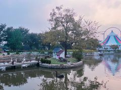 -鹅湖玫瑰文化园
