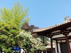 -西安青龙寺遗址景区