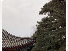 -颐和园
