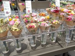 -鹿岛会员店(熙地港店)