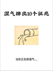 -Fundi张玉珊修身堂·indiba·BTL科技瘦身