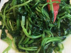 清炒鸡毛菜-北京老铺烤鸭(西稍门店)