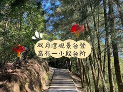 -广东惠东海龟国家级自然保护区