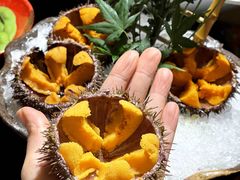 空运活海胆-天狗山料理(省体店)
