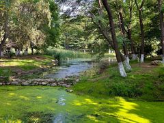 -长白岛森林公园