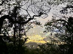 -惠山国家森林公园
