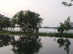 -金银湖国家城市湿地公园