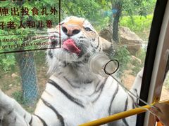 -栾川竹海野生动物园