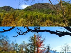 -塔川景区