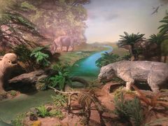 -湖南省地质博物馆