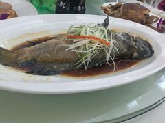 蒸鳜鱼-好彩酒楼烤鸭坊