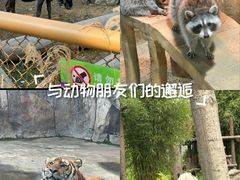 -南昌动物园