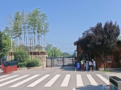 -少华山国家森林公园