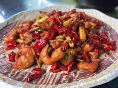 -青城甲(青城山店)