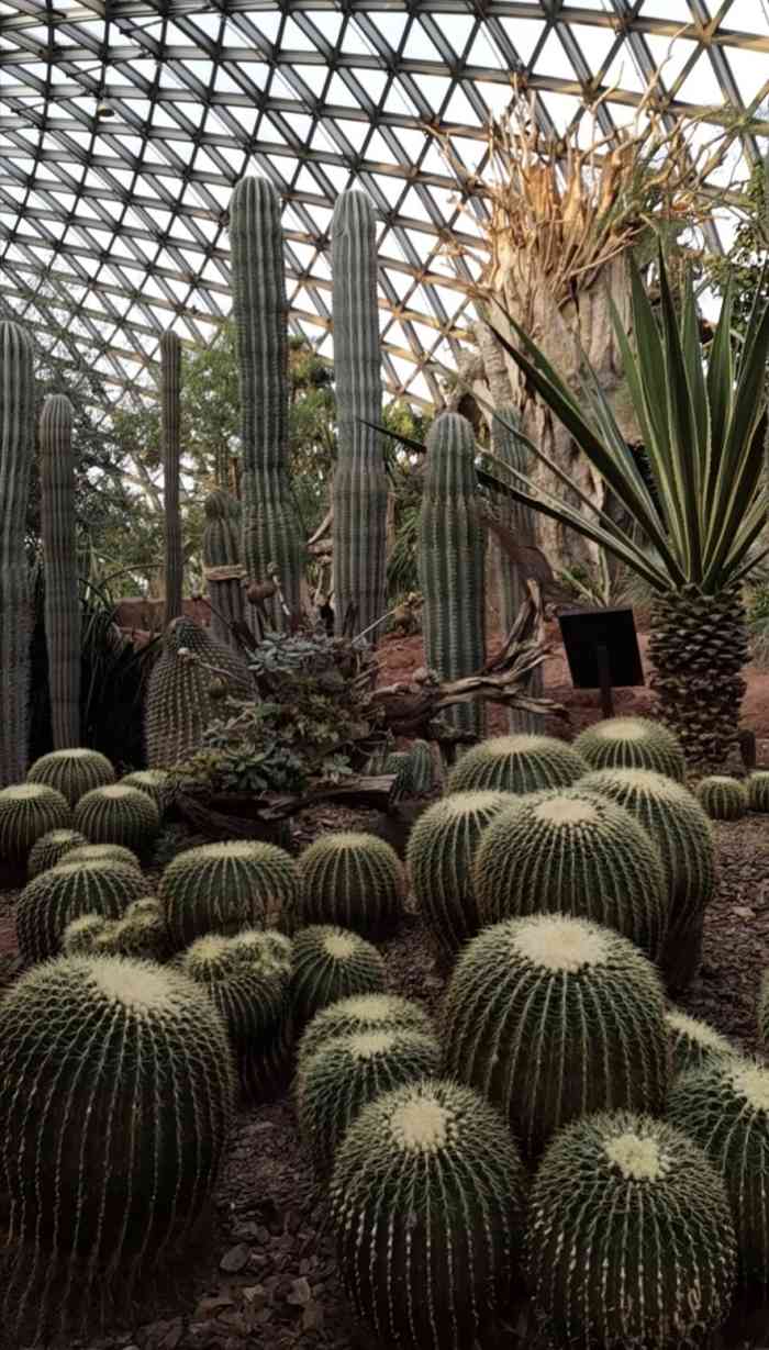 上海辰山植物园-"位于上海松江区的上海辰山植物园是华东地区.