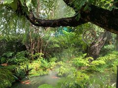 -Chom Cafe and Restaurant