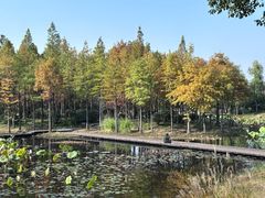 -长广溪湿地公园