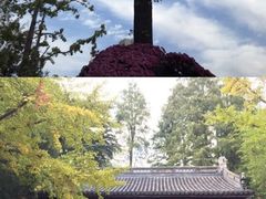 -汇龙潭
