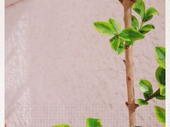 -Cafe on warm(丹霞店)