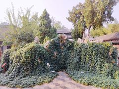 -莲池书院博物馆