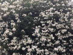 -索菲特西湖大酒店·香榭丽全日候餐厅(南山路店)