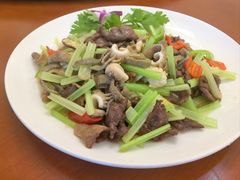 -杨记新泉美食