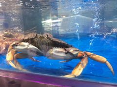 -盒马鲜生(悦峰店)