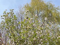 -济南国际园博园