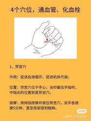 -香薇妮丝女子减肥院