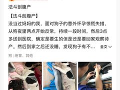 -北京观赏动物医院·24小时大型综合·猫专科·异宠专科