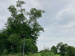 -桂溪生态公园