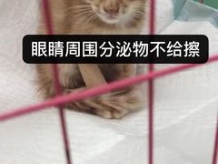 -全心全意连锁动物医院(石景山店)
