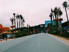 -打洛口岸